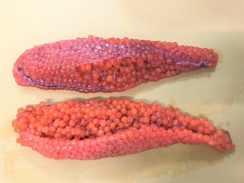 まずは筋子を用意（画像提供：魚食普及推進センターHP）