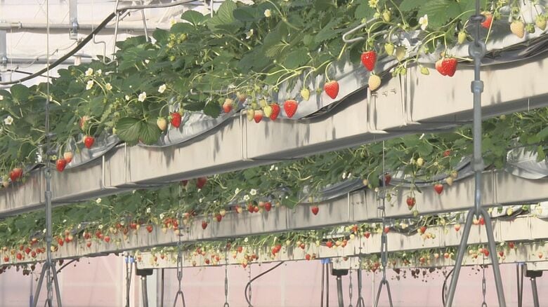 可動式ベンチ（プランター）