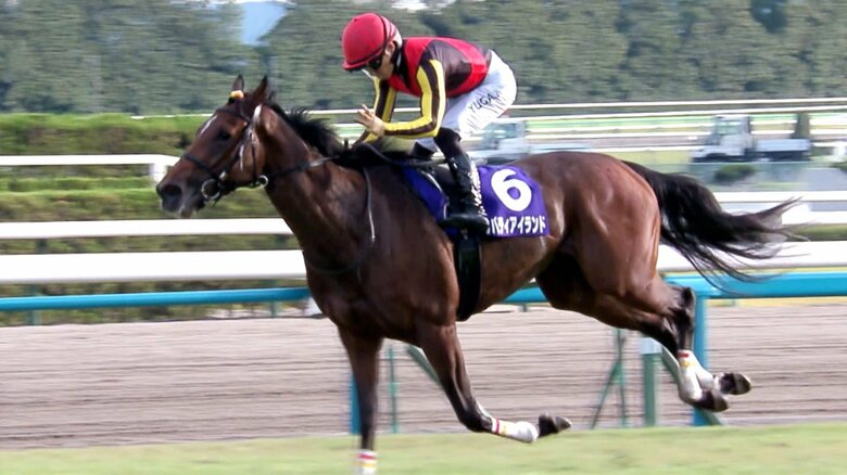 去年牝馬３冠を飾ったリバティアイランド
