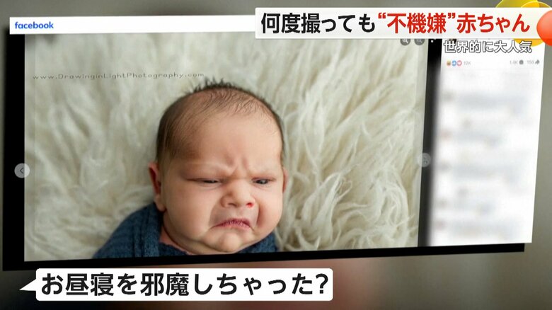 何枚撮っても、すべて不機嫌な顔になってしまう生後1週間のトレントくん