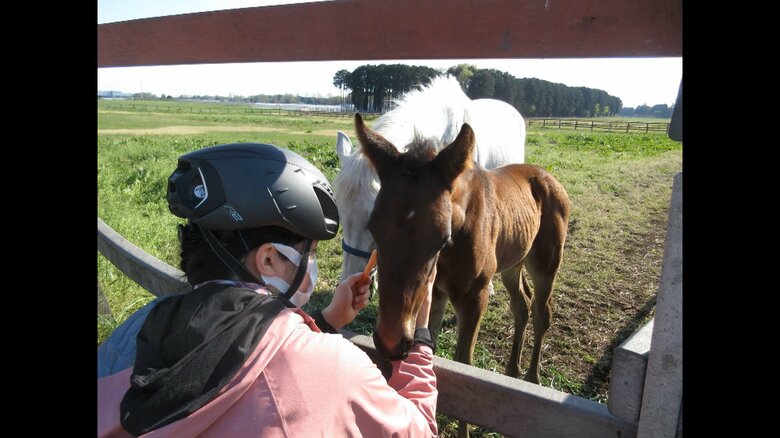 【秘話】“パール婚”両陛下と愛子さま とっておき画像公開の裏側 素顔が垣間見えた「蚕」「御料牧場」あの「頭ゴツン」も|FNNプライムオンライン