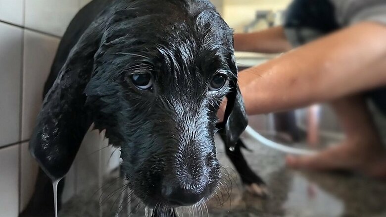 お風呂は少し苦手