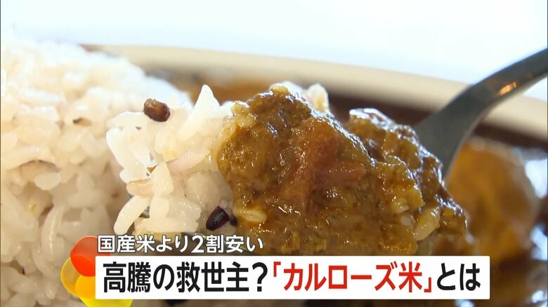 今注目のコメ「カルローズ米」を使ったチキンカレー