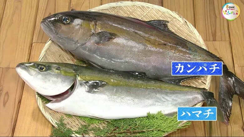 「カンパチ」と「ハマチ」