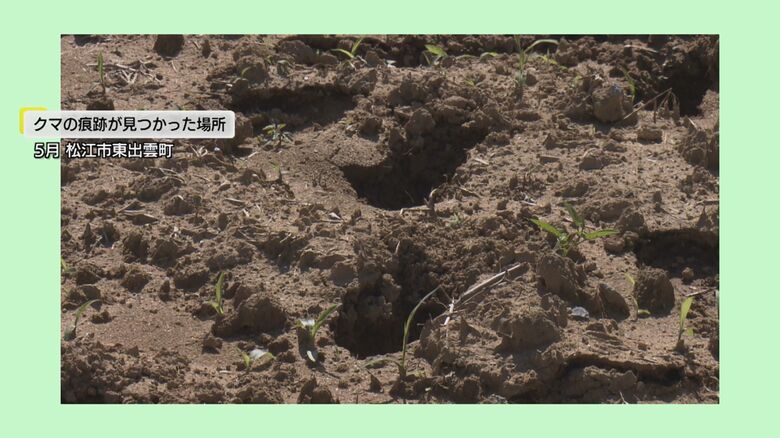 クマが徘徊した痕跡