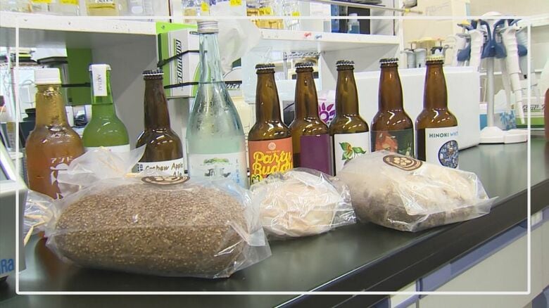 児玉特任教授は鳥取大時代にサクラなどから「酵母」を抽出　クラフトビール、日本酒、パンなどの商品開発