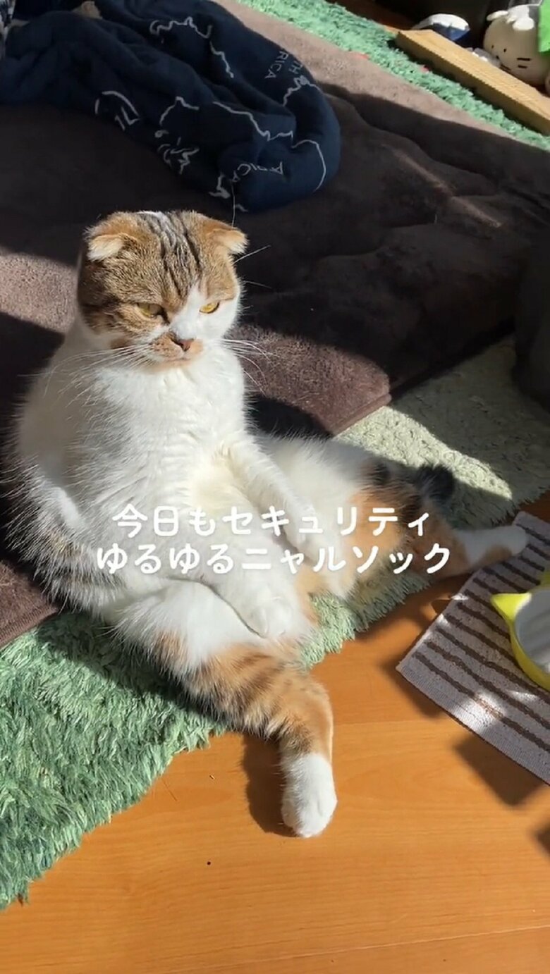 わたしは誰？とぼんやりしている様子