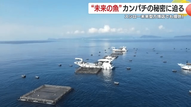 鹿児島は鹿児島県は日本一のカンパチ産地だ