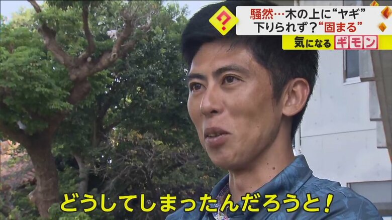 騒然とする沖縄県那覇市にある公民館の館長