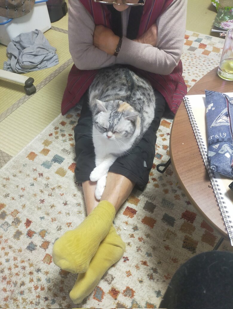 おばあちゃんと昼寝（提供：まさまささん）