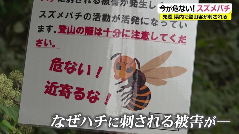 ハチの危険性を知らせる張り紙
