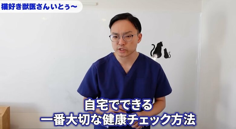 ねこ好き獣医いとぅー先生