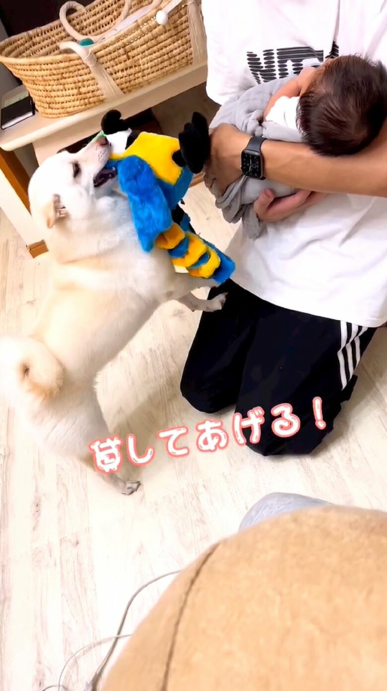 前足をかけて懸命に届けようとしている