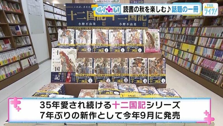 ３５年続く人気シリーズ