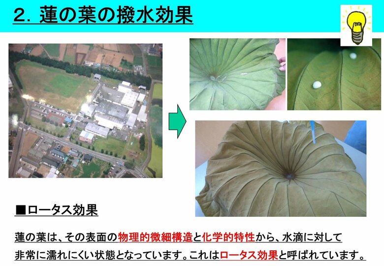 ハスの葉の特性がヒントに（提供：東洋アルミニウム）