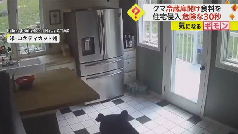 クマが冷蔵庫を器用に開け、食べ物をくわえる様子①