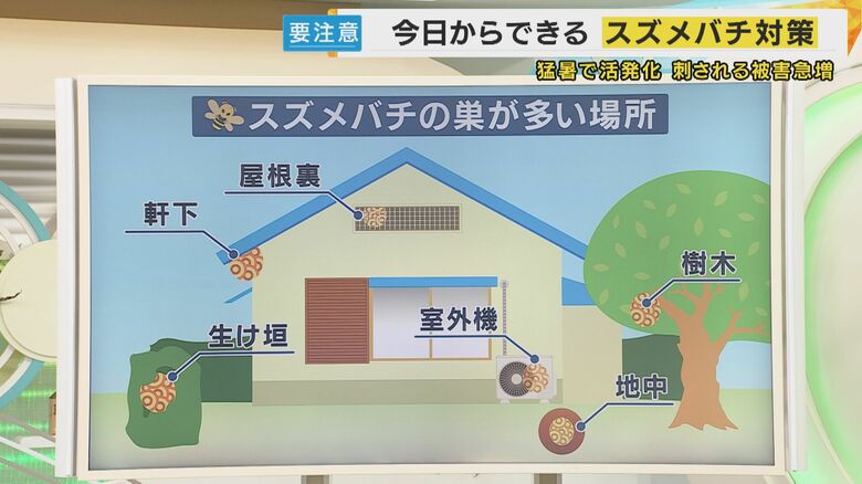 スズメバチが多い場所