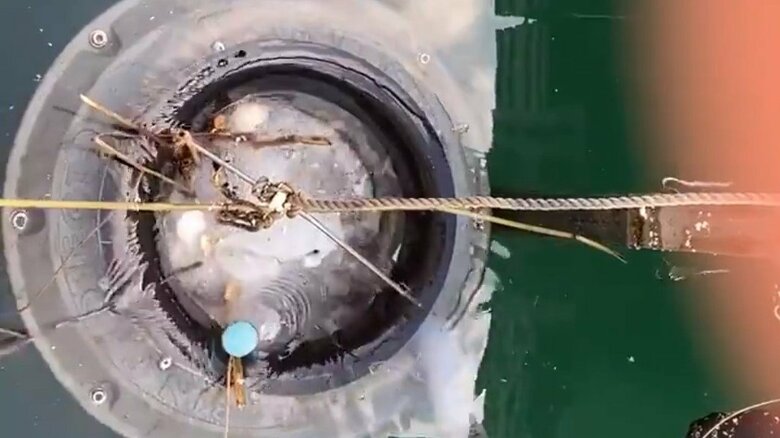 ペットボトルを回収するまで（5）