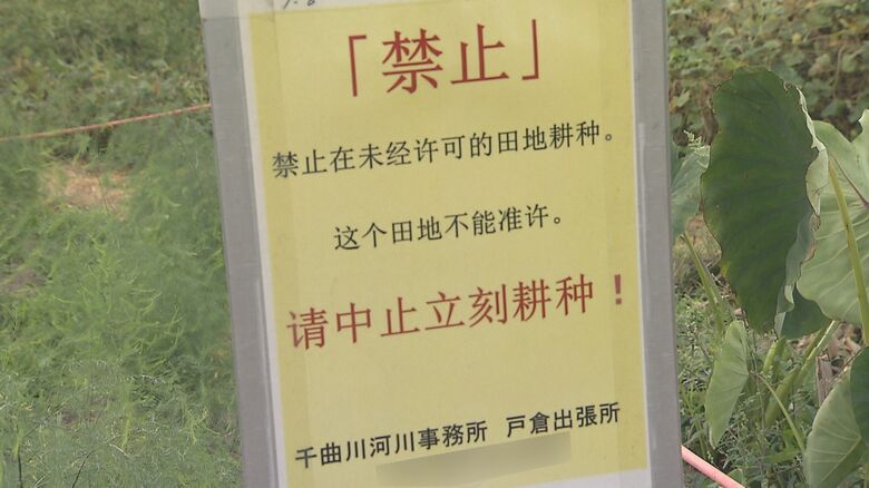 中国語の看板も