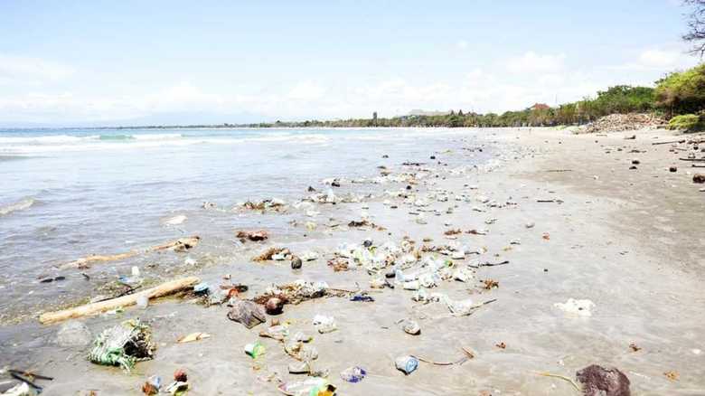 歯磨き粉が海のゴミに? 『海洋プラスチック憲章』に日本がサインしなかったワケ