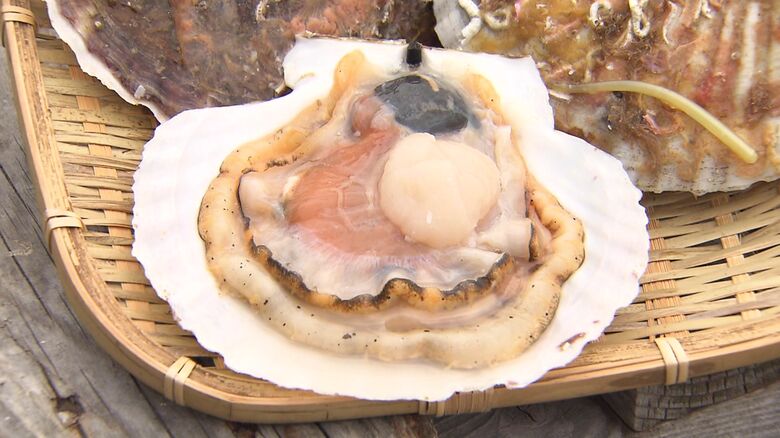 中国政府は日本産水産物の輸入再開を決定したが再び停止に