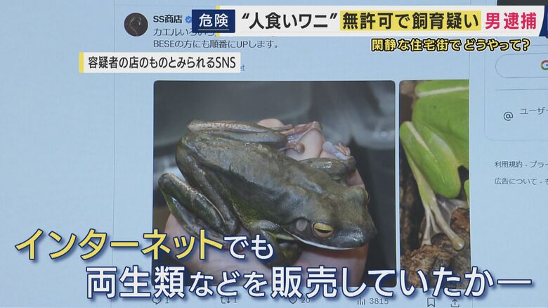 両生類などをインターネットでも販売していた