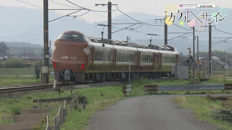 新型やくも273系