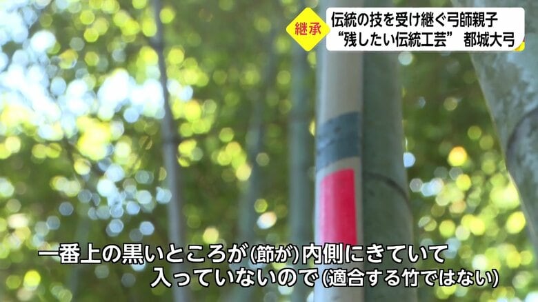 節と黒い印がずれている