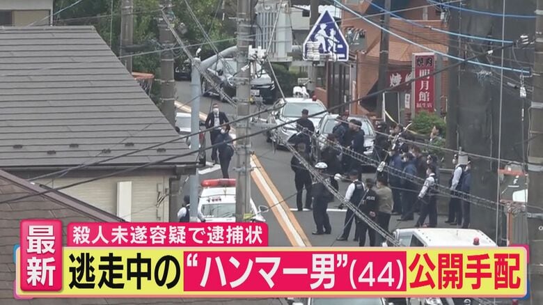 「旬感LIVE とれたてっ！」より