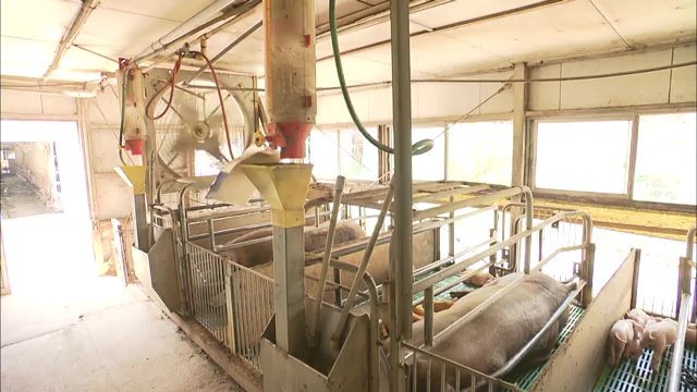 扇風機を24時間回し暑さ対策