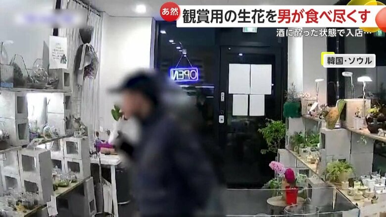 商品の植物をむさぼる男（Instagram @lily_valley_studioより）