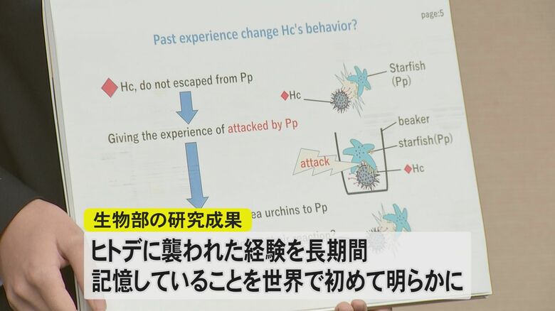 高校生による研究