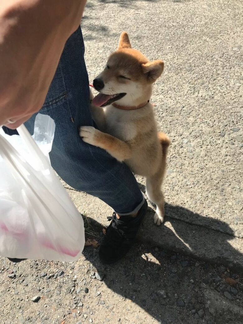 提供：torakichi602さん