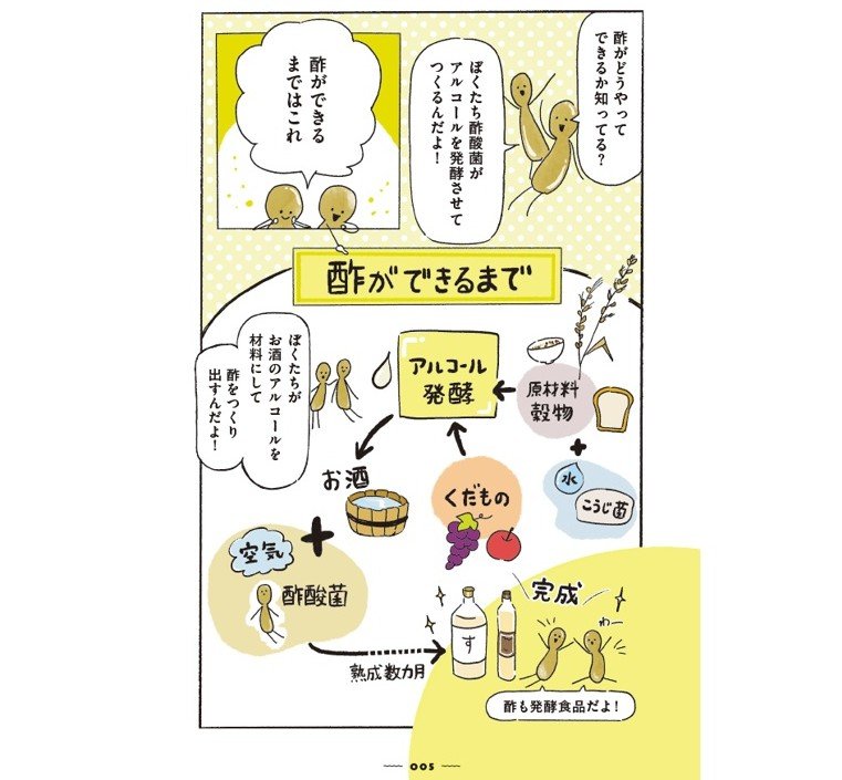 酢ができるまで（『お酢推すレシピ』から抜粋、イラスト：高木ことみ）
