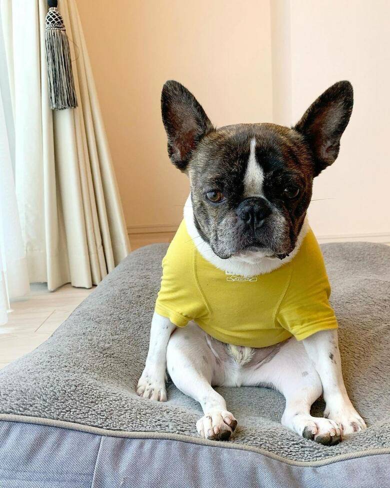 提供：丸男さん