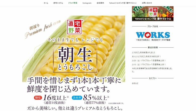 『朝生とうもろこし』が「生で食べられるおいしいとうもろこし」の項目で第1位を獲得!