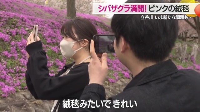 訪れた人に癒しの時間を提供してくれる