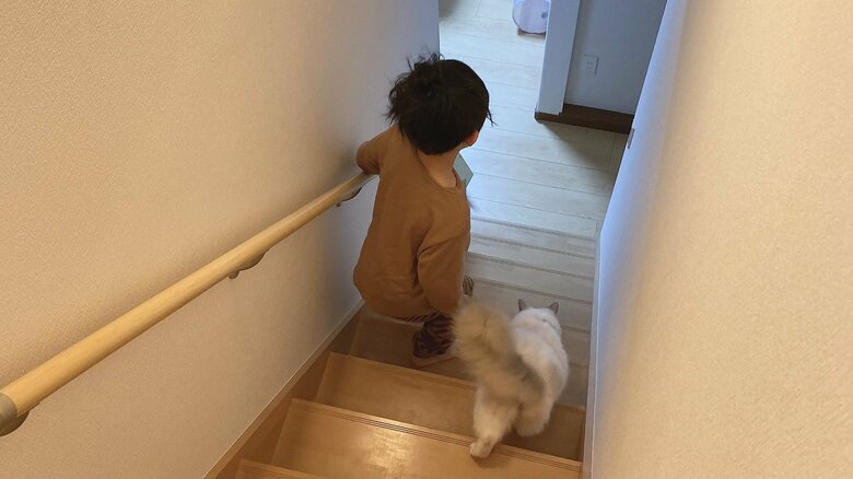 いつも一緒だという