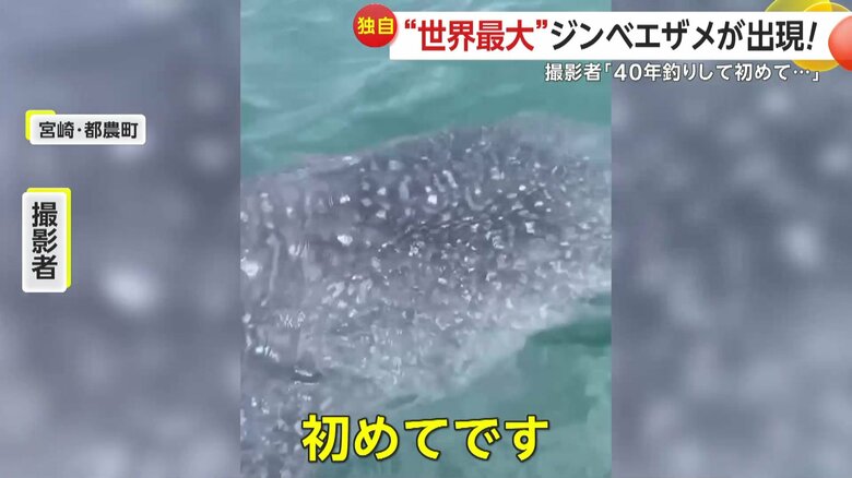 「初めてです。ジンベエザメを見たというのを聞いたことない」と話している撮影者