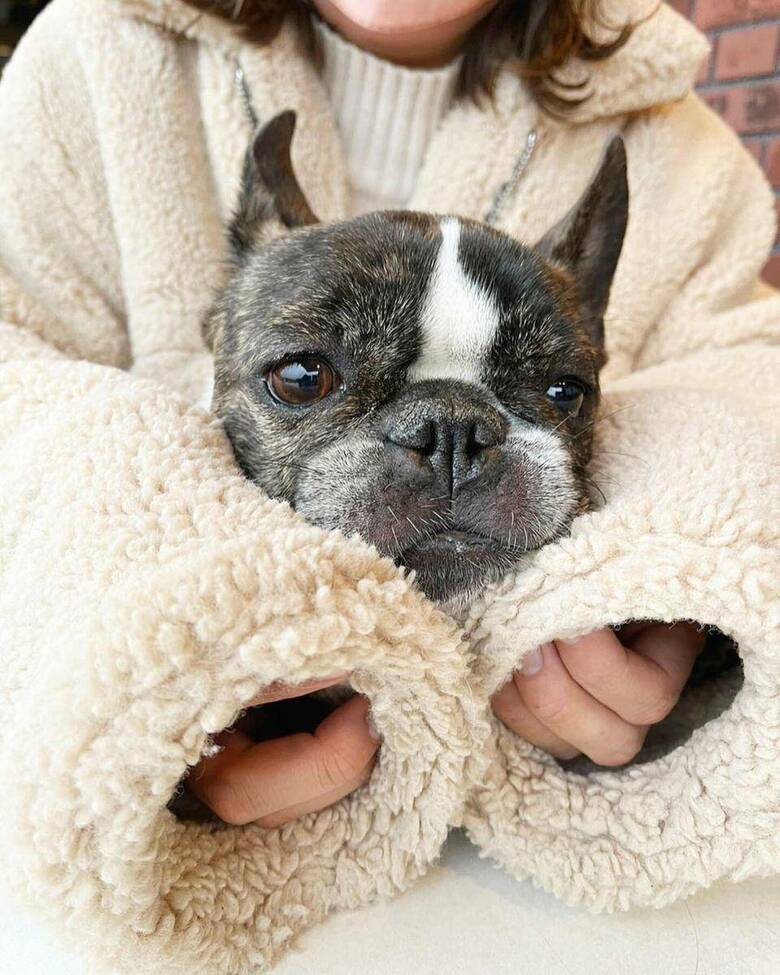 提供：丸男さん