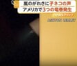 「なんてことだ」崩れたがれきの中にずぶぬれの子猫　嵐と竜巻が横断、住宅500軒が被害　アメリカ・ミシシッピ州