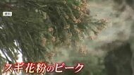 起床直後に花粉症の症状がつらい「モーニングアタック」　有効なのは空気清浄機より加湿器　重い症状には注射治療も　福岡