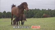 GW後半　お目当ては“野生馬”　串間市・都井岬　観光客でにぎわう