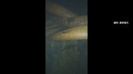 圧力容器の底に“穴”の可能性　福島第一原発3号機内ドローン映像