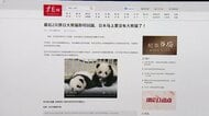 中国メディア「日本でパンダが見られなくなる」専門家の“貸し出し停止”見解報道…中国SNSで検索ランキング1位に