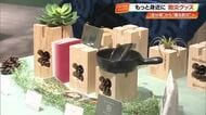 イスがトイレに、鏡はコンロに　おしゃれで「普段使い」の防災グッズ　高知大丸でフェア