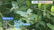 二十四節気「霜降」暦通りの冷え込みに　さらに季節進める「台風30号」24日から26日は大雨に警戒