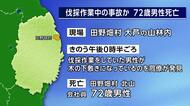 伐採作業中の事故か　72歳男性死亡　岩手・田野畑村の山林