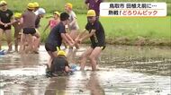 泥の中を全力ダッシュ！田植え前に田んぼで運動会”『どろりんピック』　児童がコメ作りに一役（鳥取）