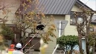 【クマ】過去最多の出没件数…深刻化するクマ被害　グリーンシーズンに向けクマ対策を学ぶ研修会　新潟・長岡市